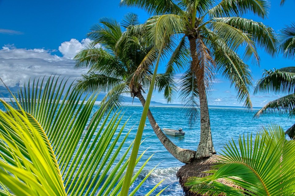 MerlinTour-Polynesie-01-PIXABAY.jpg