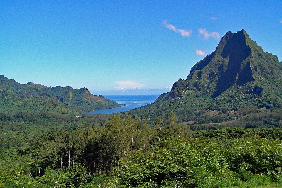 MerlinTour-Polynesie-03-PIXABAY.jpg